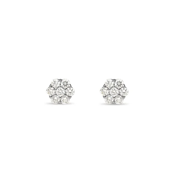 Jubileum Aanbieding - Rozet Oorknoppen 14-0.50 Crt H SI